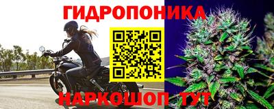 альфа пвп VHQ Ачхой-Мартан