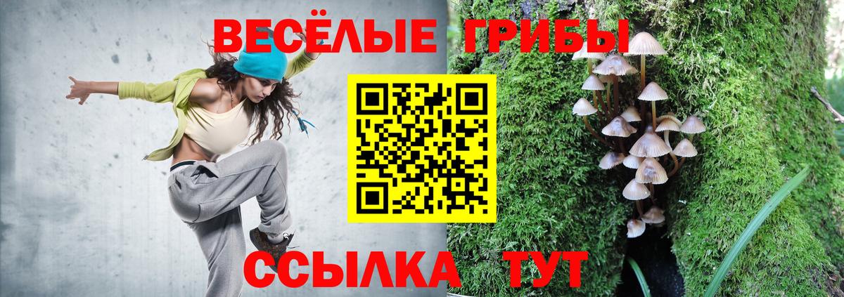 Асбест  Псилоцибиновые грибы Psilocybine cubensis  Вход с VPN  Псилоцибиновые грибы Cubensis 